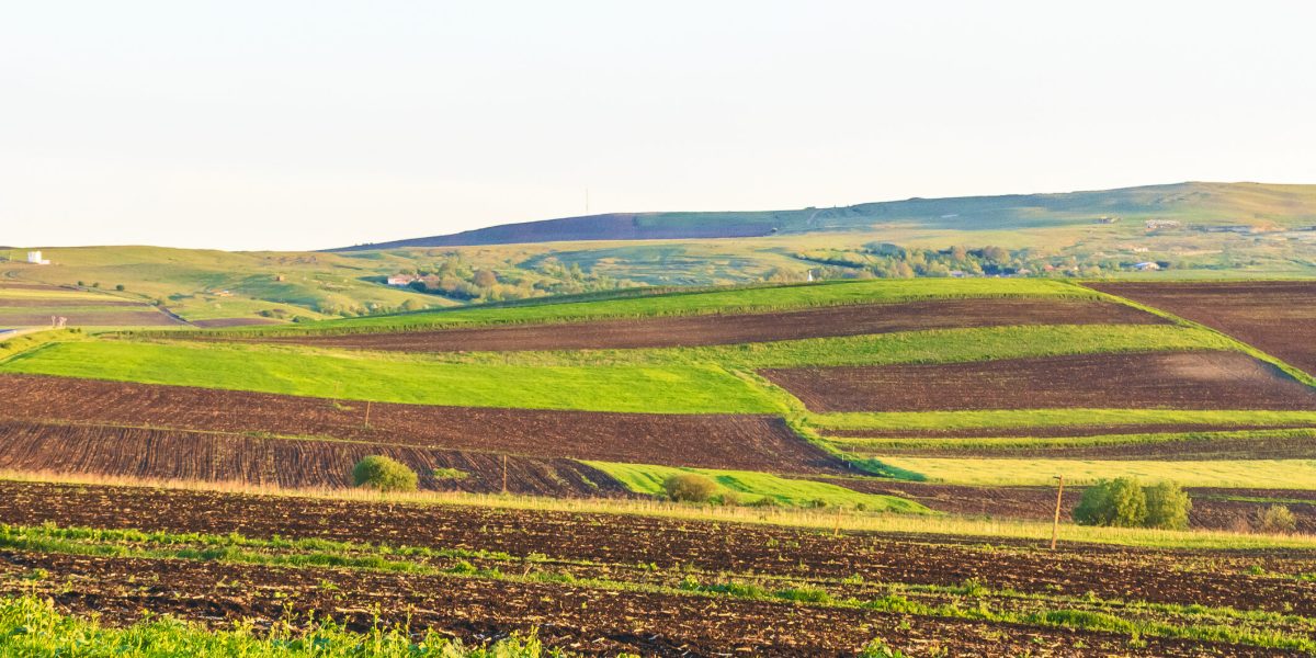 Arendă 2026: Ce drepturi și obligații au arendașii și arendatorii