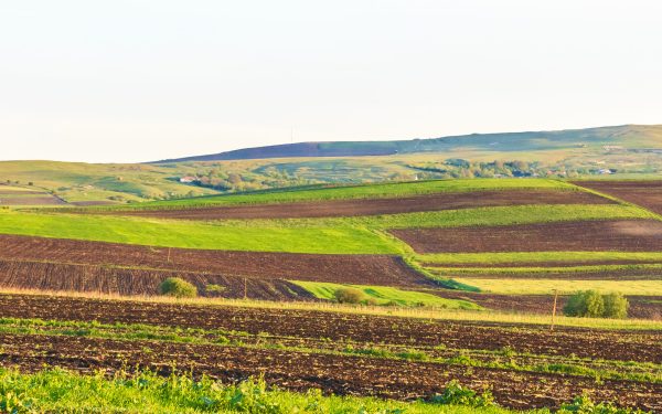 Arendă 2026: Ce drepturi și obligații au arendașii și arendatorii