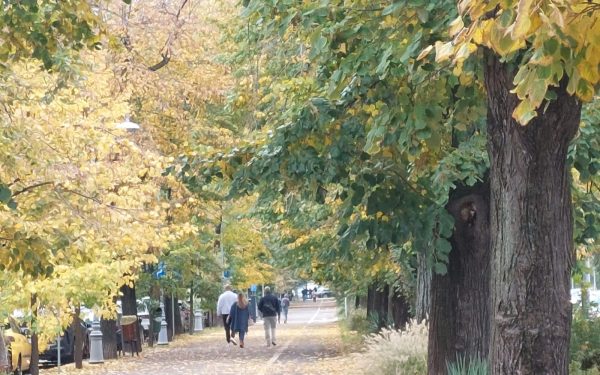 Petiție Declic: Parcul lui Trump, contestat. Se cere numele Maria Cuțarida-Crătunescu