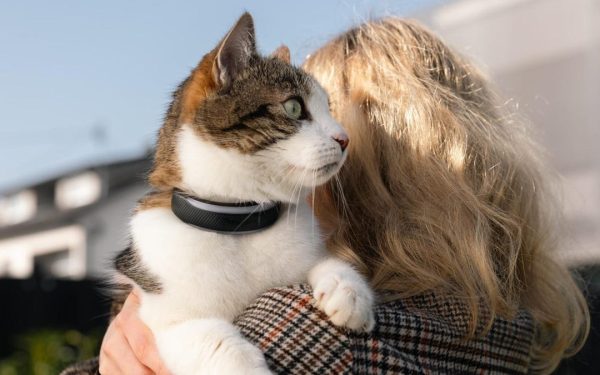 Compania Tractive lansează zgărzile inteligente pentru animalele de companie, cu funcții de ceas de fitness Tractive, o companie specializată în tehnologie pentru animalele de companie, își extinde gama de produse cu noi zgărzi inteligente