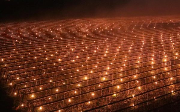 Foc de 40.000 de euro! O fermă din Cluj a salvat cireșii de la îngheț