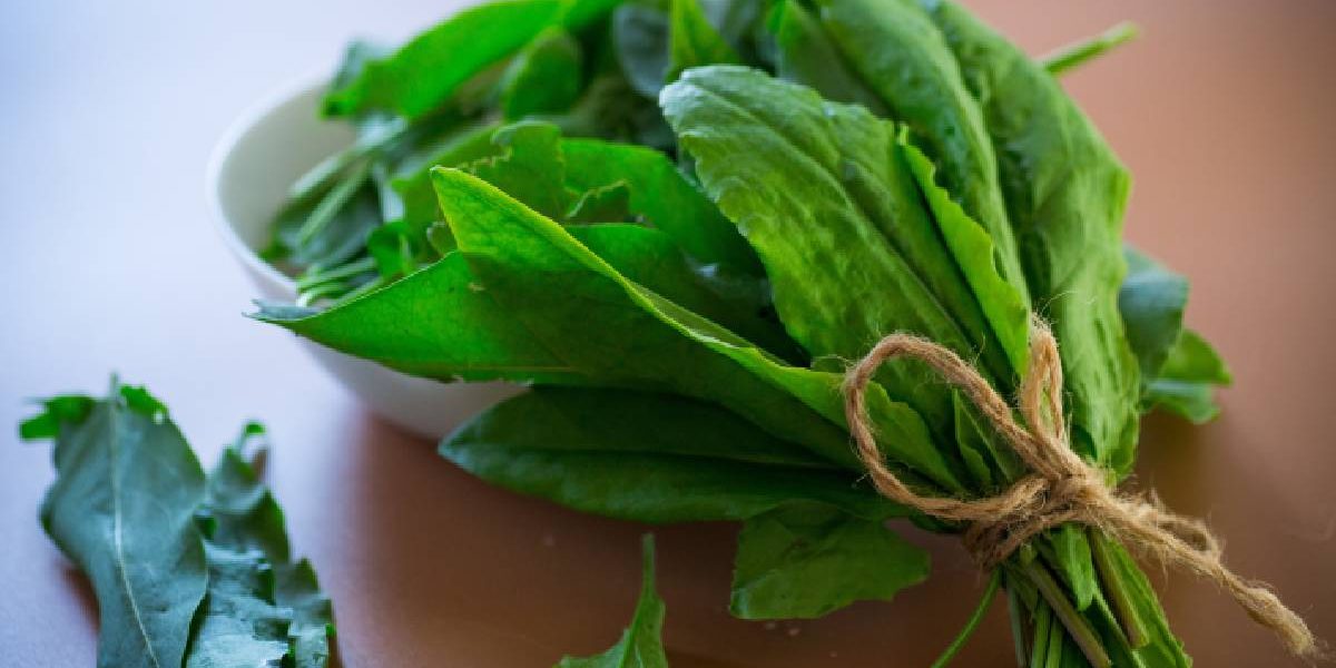 Verdețurile scad tensiunea: un studiu arată efectul-minune asupra sănătății