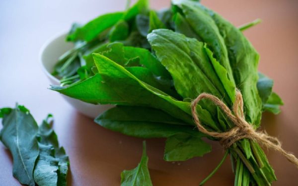 Verdețurile scad tensiunea: un studiu arată efectul-minune asupra sănătății