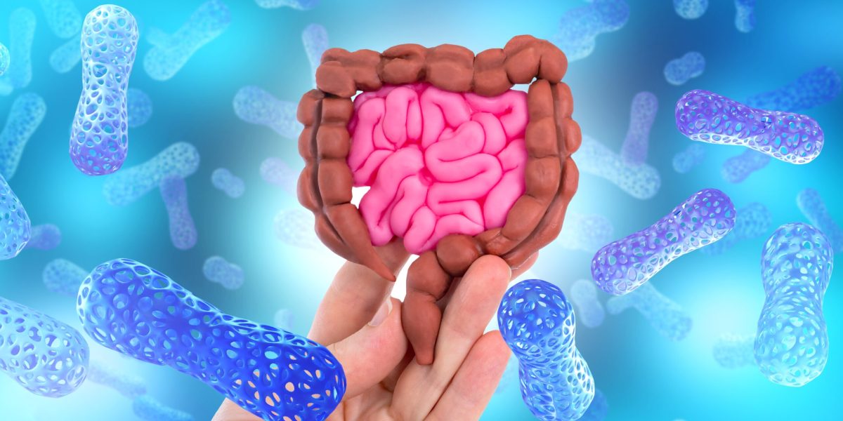 Proteina din intestin care luptă împotriva bacteriilor, o descoperire promițătoare pentru tratamentele viitoare O nouă cercetare a identificat rolul crucial al unei proteine specifice, denumită intelectină-2, în apărarea tractului gastrointestinal împotriva răspândirii bacteriilor periculoase