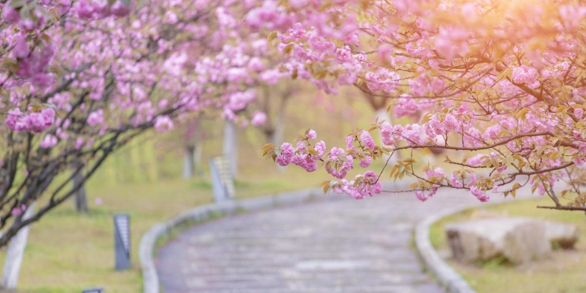 Ger de Paște: ANM anunță -5 grade în noaptea de Înviere în unele zone din România