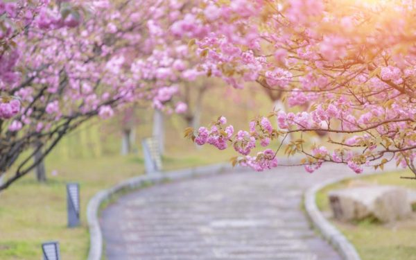 Ger de Paște: ANM anunță -5 grade în noaptea de Înviere în unele zone din România