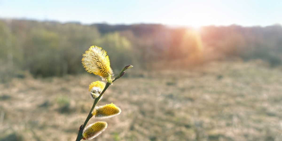 Vremea se schimbă radical de Paște după o iarnă neașteptată