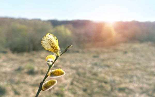 Vremea se schimbă radical de Paște după o iarnă neașteptată