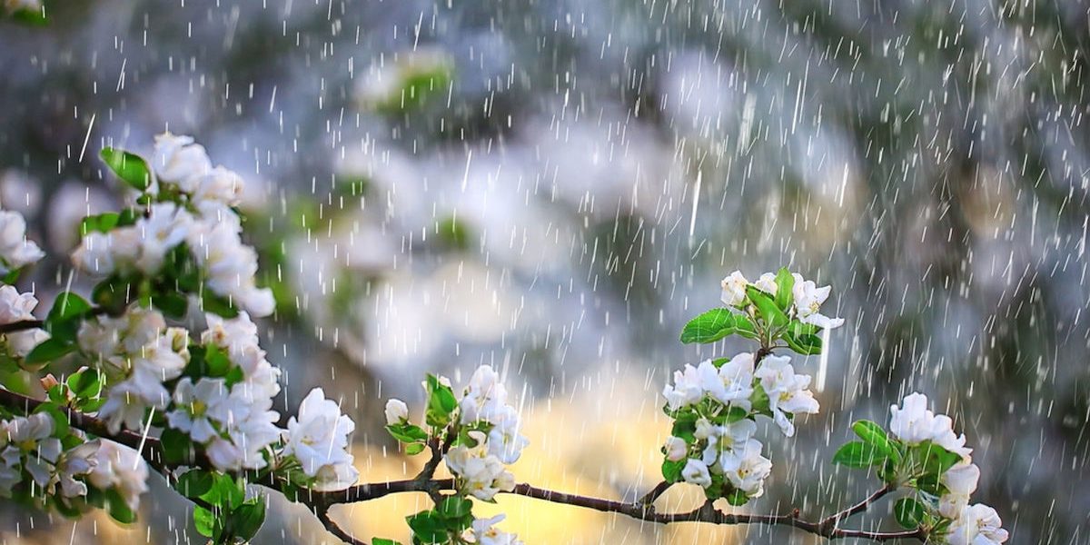 Vreme capricioasă de 1 Mai: ploi și frig în majoritatea zonelor din România