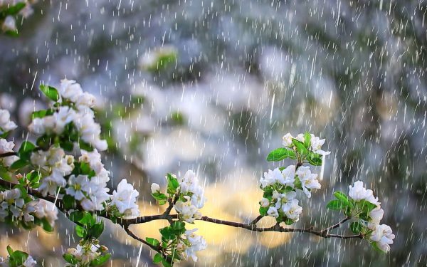 Vreme capricioasă de 1 Mai: ploi și frig în majoritatea zonelor din România