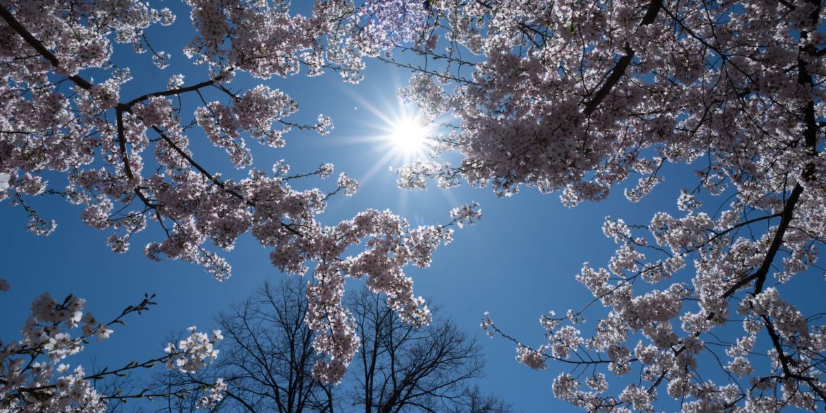 Cum va fi vremea de 1 Mai în România: Meteorologii au anunțat