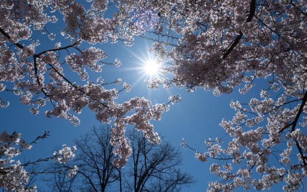 Cum va fi vremea de 1 Mai în România: Meteorologii au anunțat