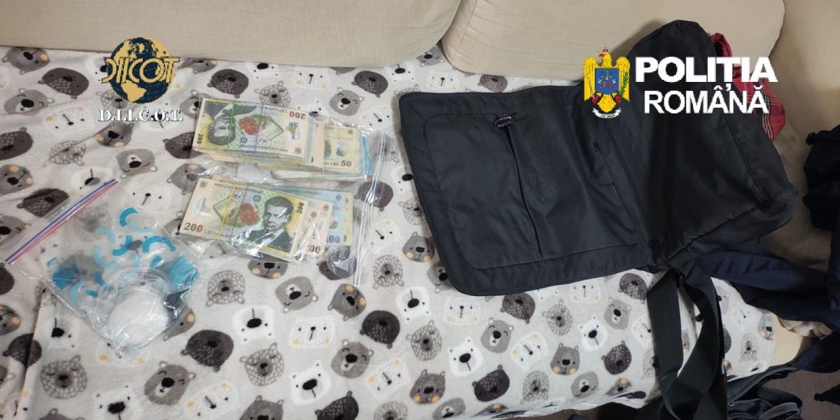 Canabis în București și 4 județe: Mascații au descins la un laborator