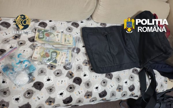 Canabis în București și 4 județe: Mascații au descins la un laborator