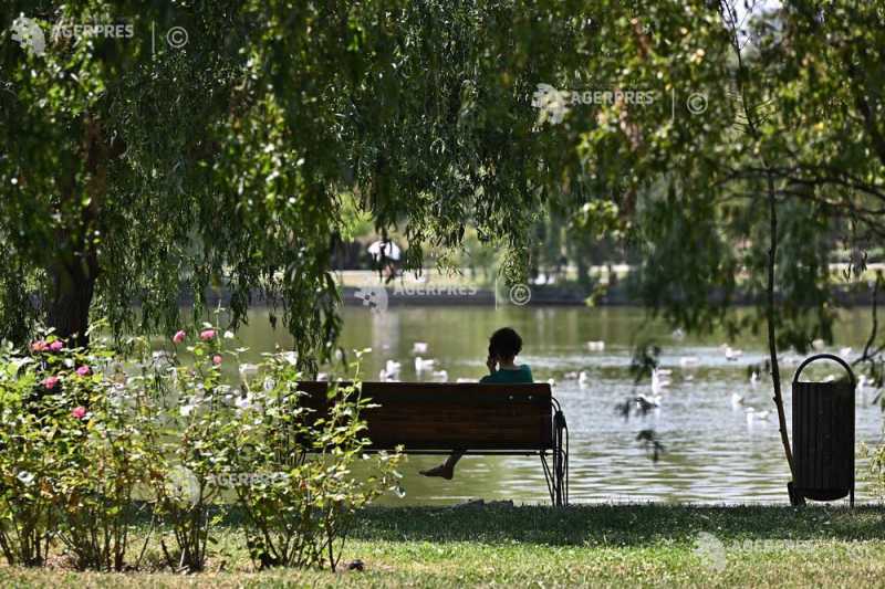 Vreme plăcută în București, cu vânt mai puternic la început de weekend