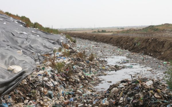 Comisari Garda Mediu Mehedinți, reținuți pentru corupție mascată