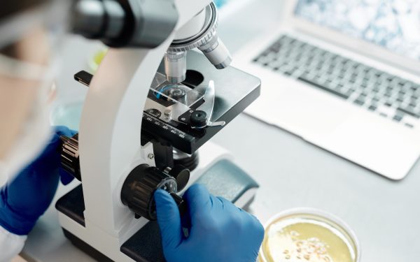 UE: Regulile pentru biotehnologie, pe rapid