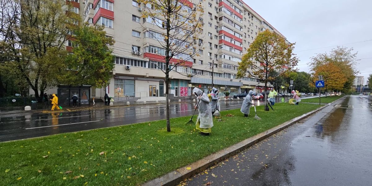 București: 1 miliard euro, iarbă tunsă și copaci plantați
