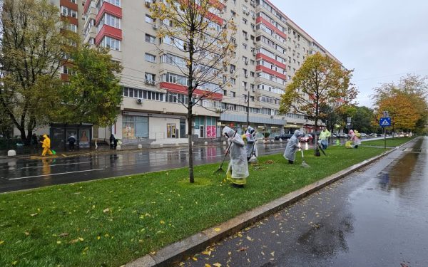 București: 1 miliard euro, iarbă tunsă și copaci plantați