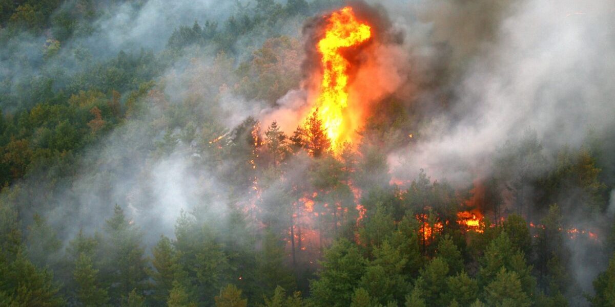 Fontainebleau arde lângă Paris, intervenție masivă cu avioane
