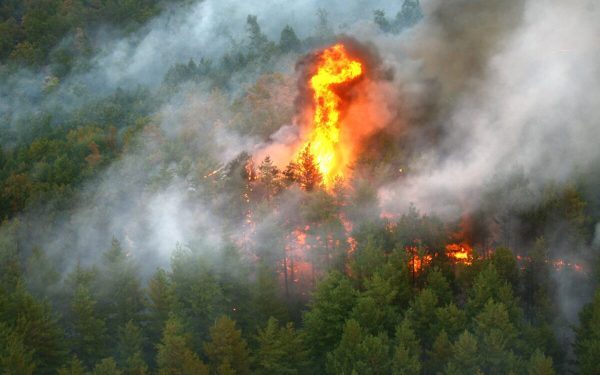 Fontainebleau arde lângă Paris, intervenție masivă cu avioane