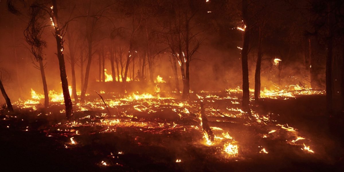 Spania: Străini, Arși de Vii în Mașini, Victime ale Incendiilor