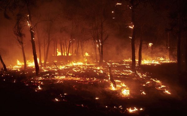 Spania: Străini, Arși de Vii în Mașini, Victime ale Incendiilor