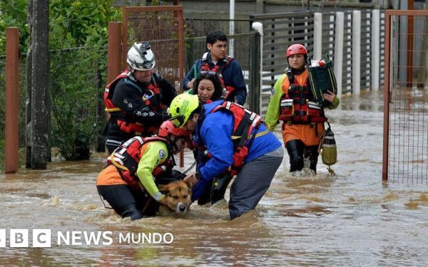 El Nino, catastrofă în America Latină: avertisment șoc