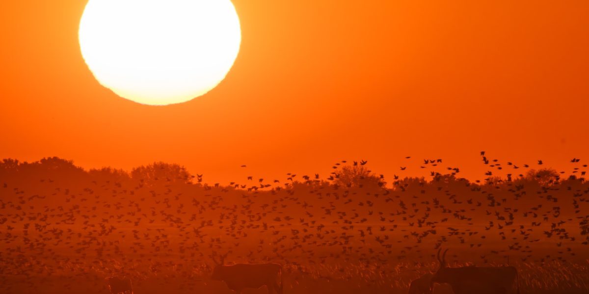 Alertă METEO: Trei județe, sub cod RO mâine