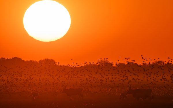 Alertă METEO: Trei județe, sub cod RO mâine