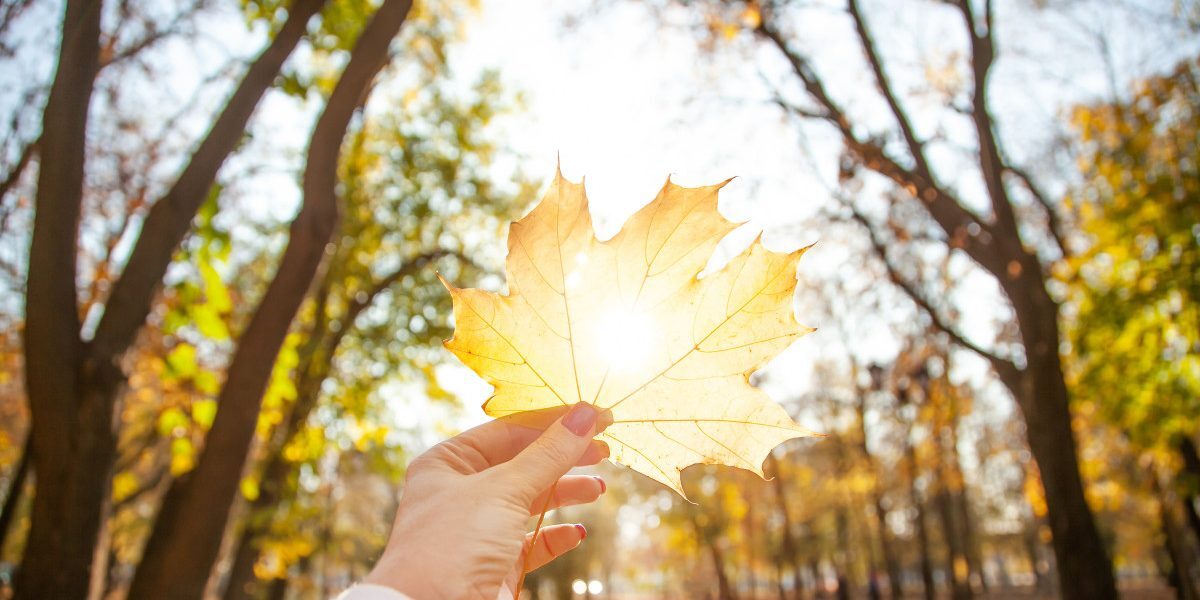 Vremea până la mijlocul lui septembrie: Prognoza ANM
