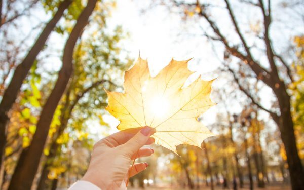 Vremea până la mijlocul lui septembrie: Prognoza ANM