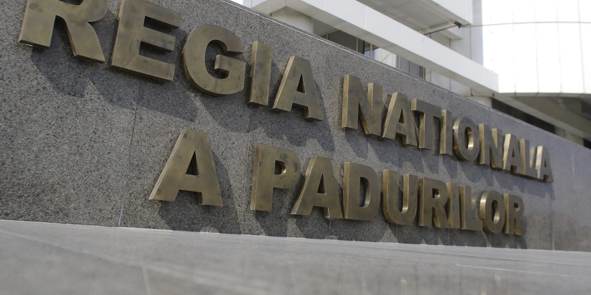 ANAP: Romsilva, sute de achiziții fără licitație. Cauza, invocată în 82% din cazuri