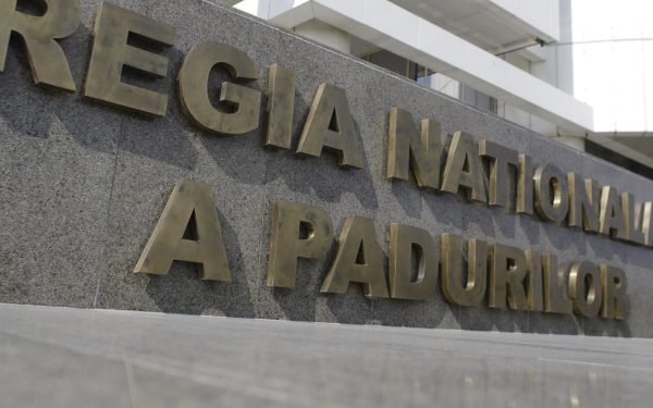 ANAP: Romsilva, sute de achiziții fără licitație. Cauza, invocată în 82% din cazuri