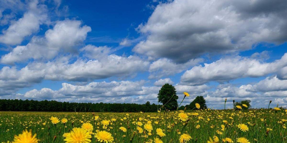 Val de căldură: 36 de grade în weekend, urmată de furtuni