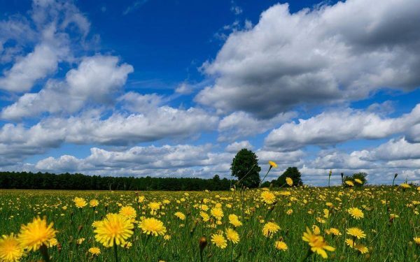 Val de căldură: 36 de grade în weekend, urmată de furtuni