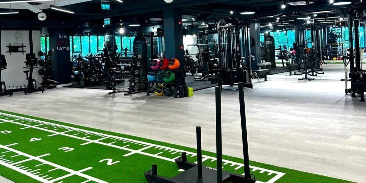 Wellness Solutions dă viteză afacerilor B2B pe piața fitness