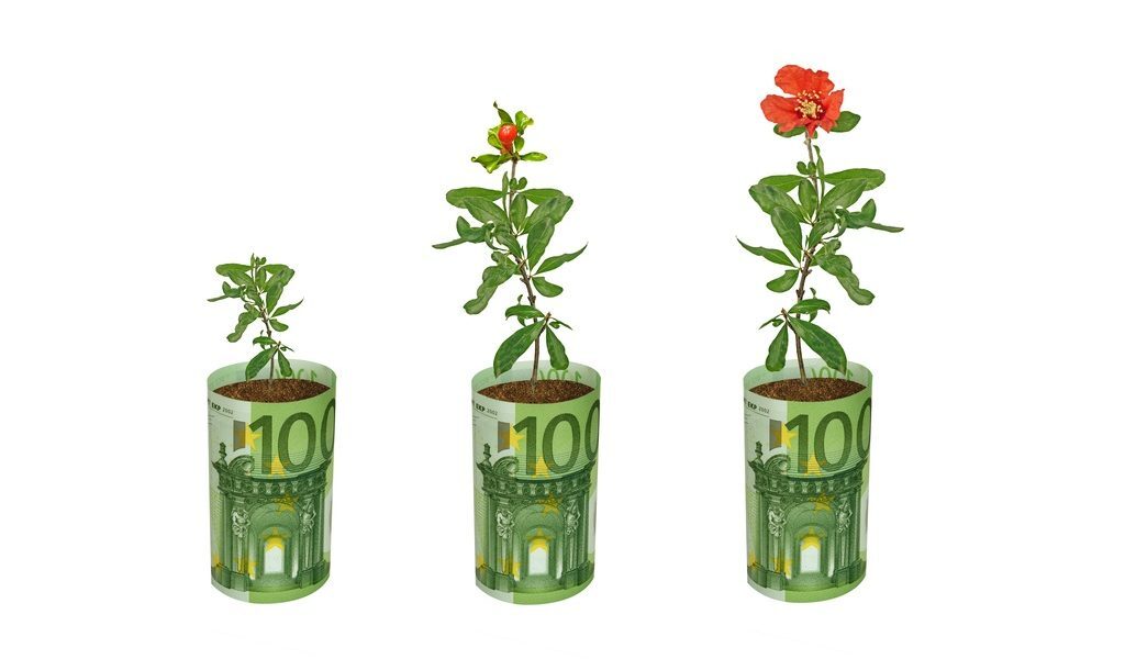 Fonduri UE: 100.000 EUR pentru flori și plante. Ghid AFIR