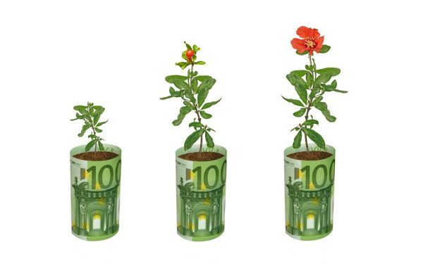 Fonduri UE: 100.000 EUR pentru flori și plante. Ghid AFIR