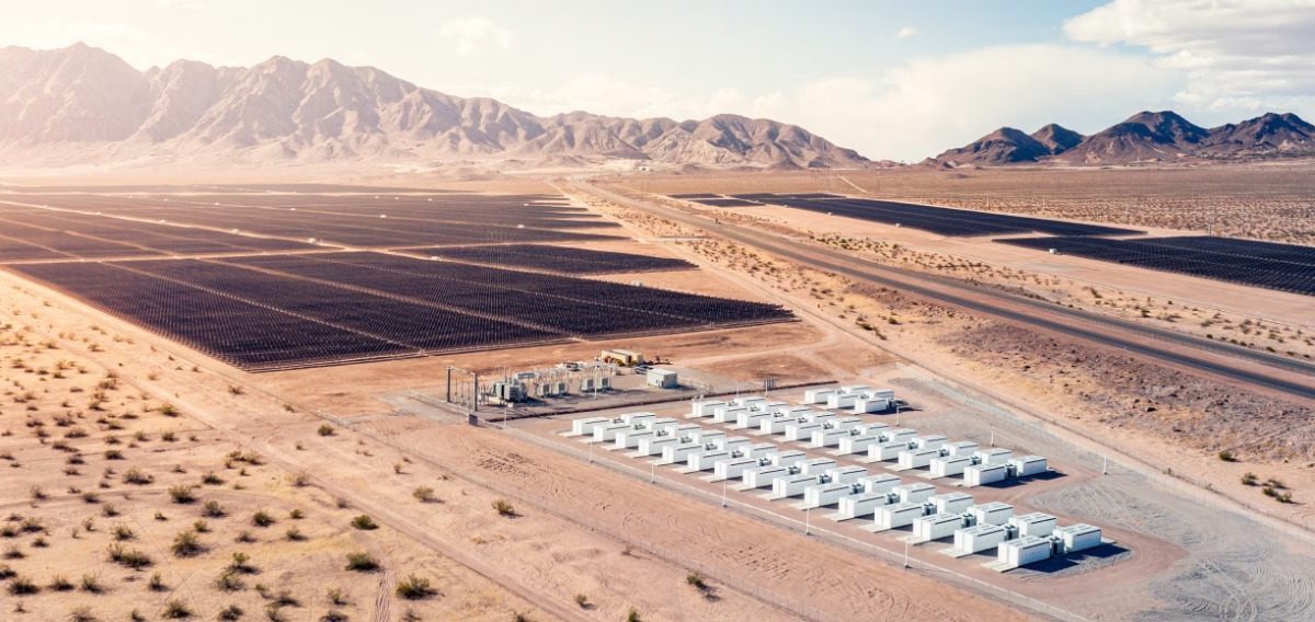 Musk alimentează AI cu Tesla: Miza colosală din spatele proiectului