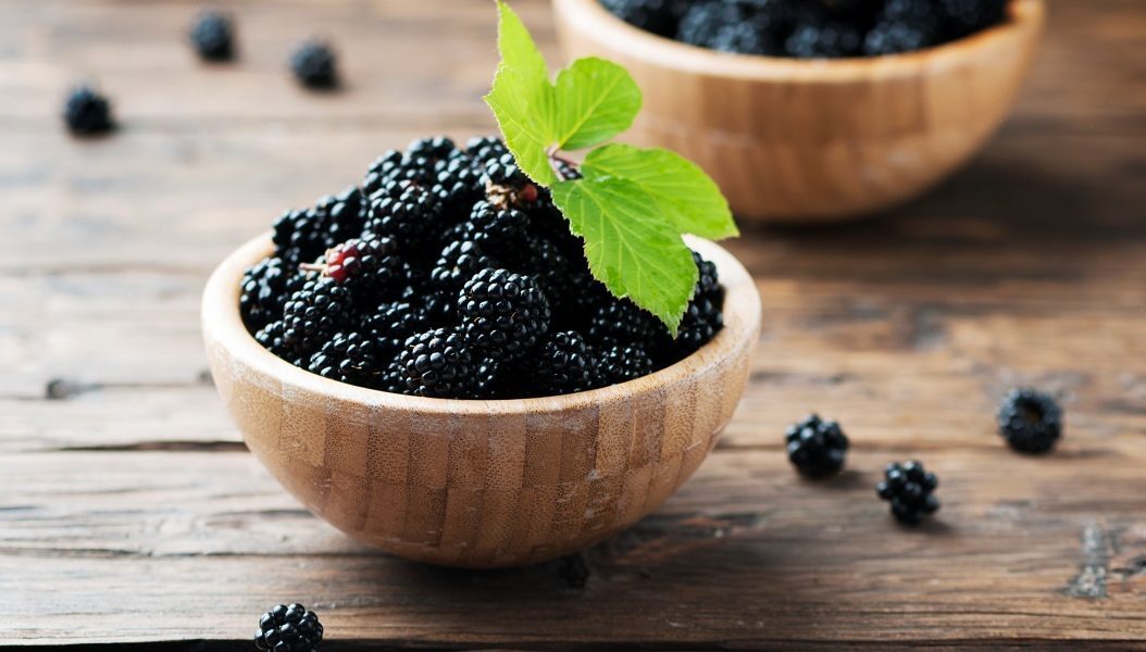 Coacăzele negre: Inamicul grăsimii, spun cercetătorii