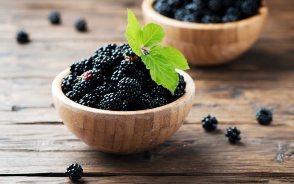Coacăzele negre: Inamicul grăsimii, spun cercetătorii