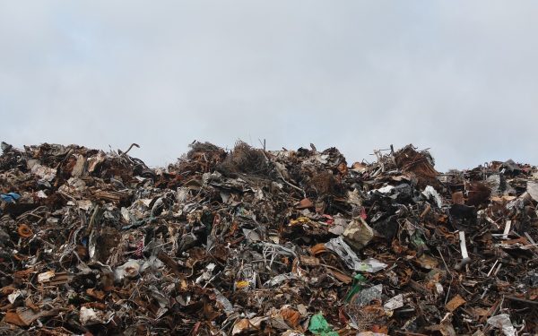 Teren de 4 ha în Constanța, blocat de instanță: legături cu fosta soție a procurorului NIȚĂ