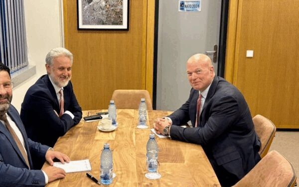 LAZURCĂ/NECULĂESCU cu Ambasadorul SUA NATO: Securitate Marea Neagră