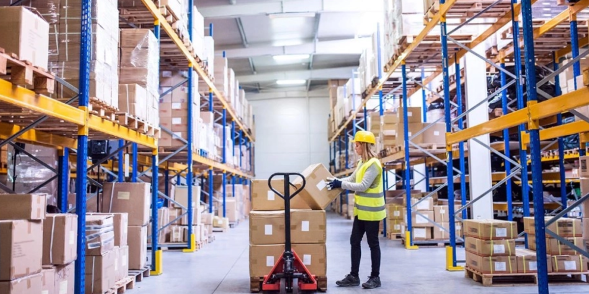 INS: Comerț angro crește 0.8% în prima jumătate a anului