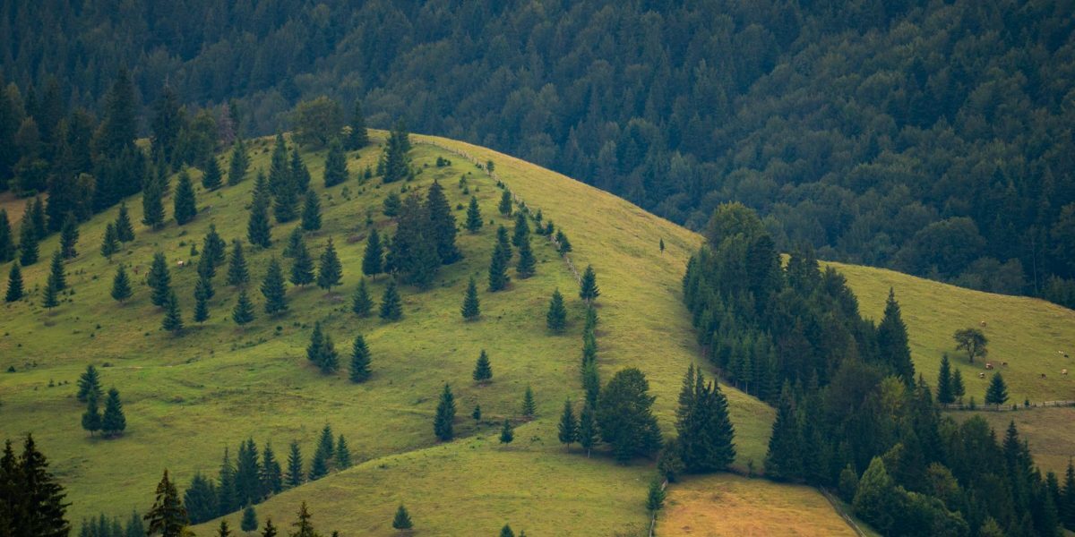 Legea Biodiversității: 972 mil. € versus realitatea bio din România