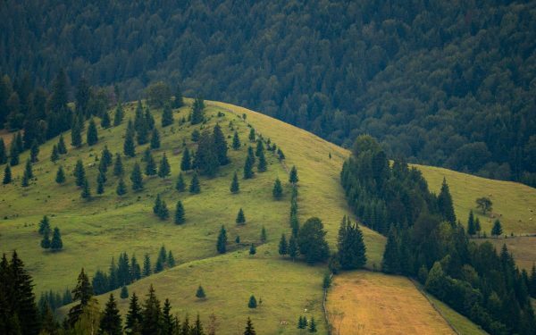 Legea Biodiversității: 972 mil. € versus realitatea bio din România