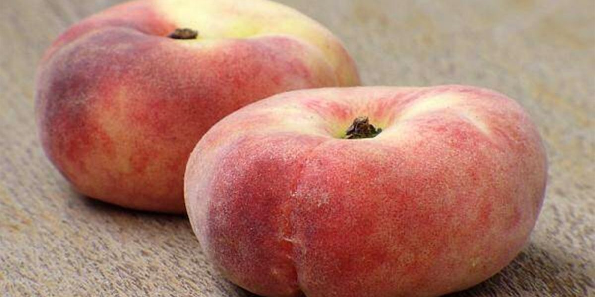 Piersici plate: Naturale sau modificate? Află adevărul!