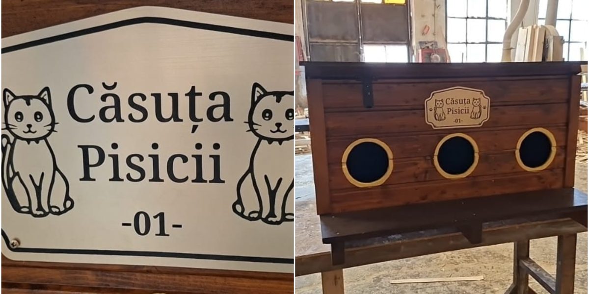 Arad: Căsuțe pentru pisici, cadou de la Primărie