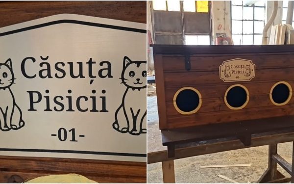 Arad: Căsuțe pentru pisici, cadou de la Primărie